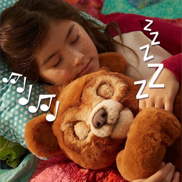 Cuddly Brown Bear Plush Toy - Picture 14 of 17